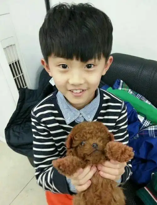 gif 让姐姐也rua一下呢 gif gif gif 然后是我的宝贝儿 宋亚轩呀