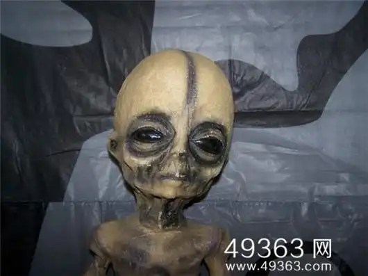 美国公布外星人:9具外星人尸体引发轰动