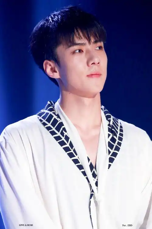 吴世勋##吴世勋颜值天才