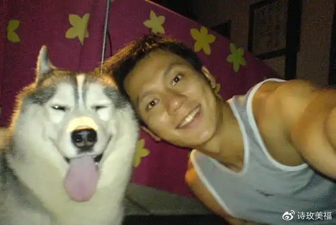 家境显赫曾因演技走红的李晨离开范冰冰后如今为何不行了