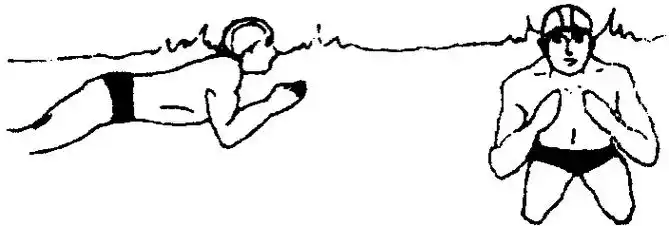 游泳的学练方法