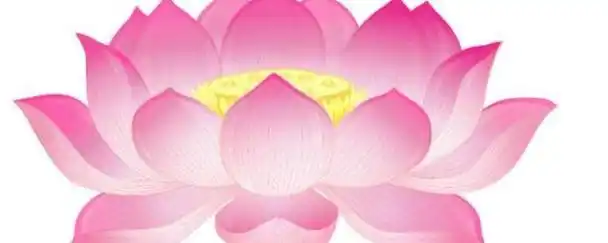 念佛之人额头为什么会有莲花应