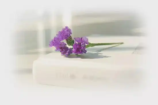 安静一种淡淡的祥和