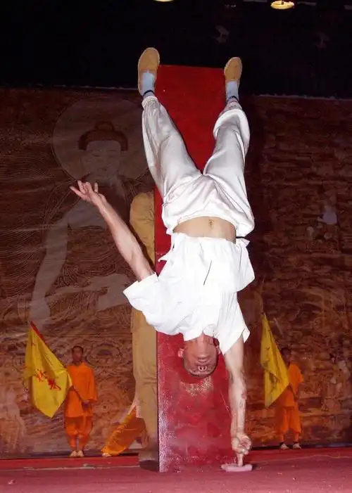 上一页 下一页 作品名称: 南少林神功"一指禅"  作品描述: 南少林神功