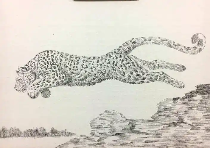 姚慧素描《猎豹》配内框(有作画过程图)