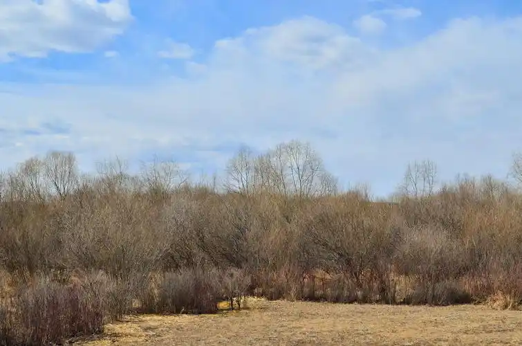 春风吹过吉雅泰