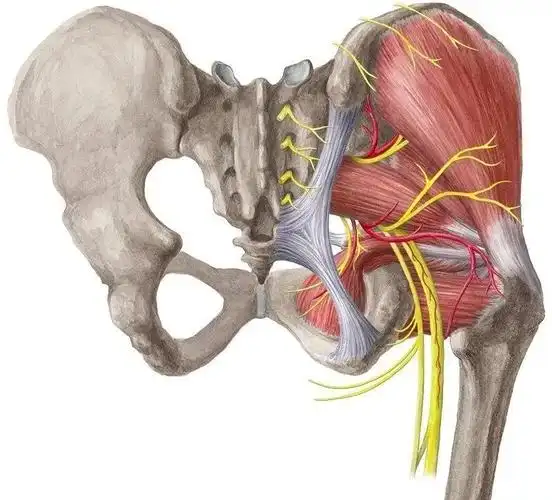 出现这10个信号表明你的臀部肌肉需要激活啦