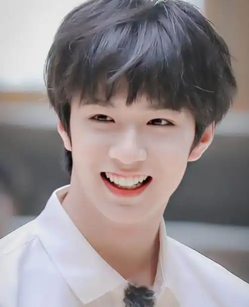 刘耀文,出生于2005年,祖籍重庆,身份是内地流行乐男歌手,演员,明星