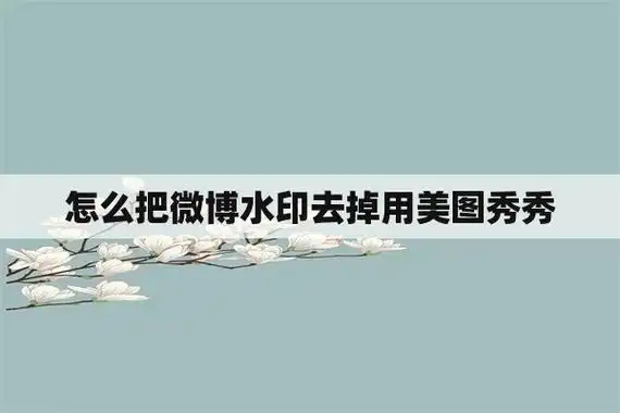 怎么把微博水印去掉用美图秀秀
