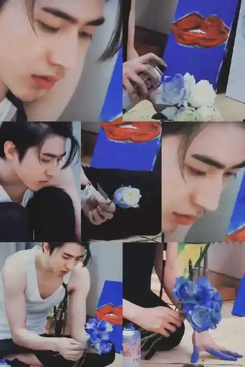 蔡徐坤##520快乐