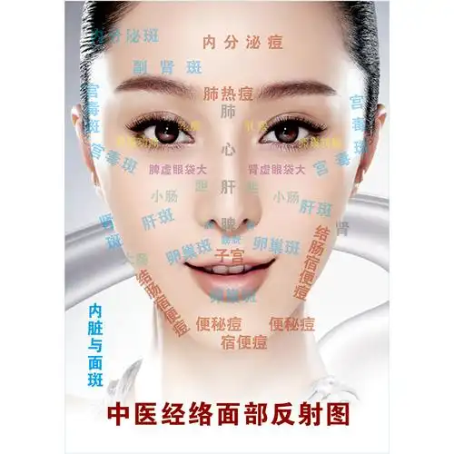 经络中医面部反射刮痧示意图穴位挂图按摩海报写真