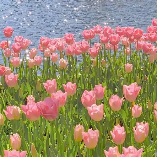 微信状态背景图##朋友圈自拍文案##小众壁纸##ins风壁纸##夏天壁纸