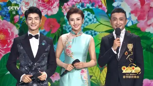 毕竟春晚舞台对大多数央视主持人来讲,都是可望不可及的"梦".