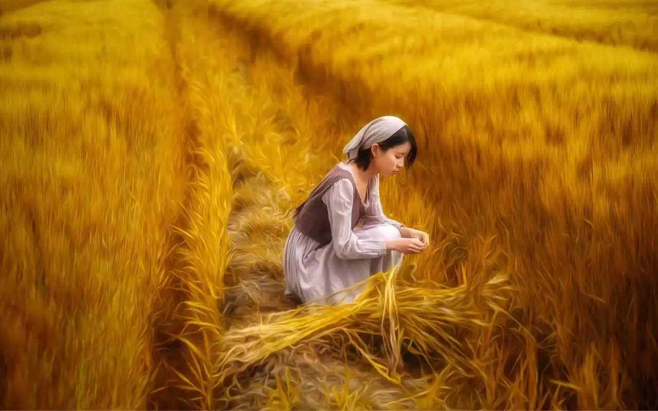清纯美女金色麦田写真高清桌面壁纸