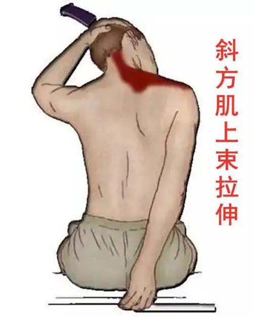 三角肌后束拉伸: 动作方法:如图所示,双脚自然站立,上身腰背挺直,将