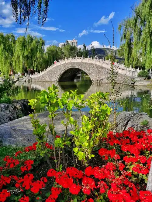 西宁人民公园夏天的美景