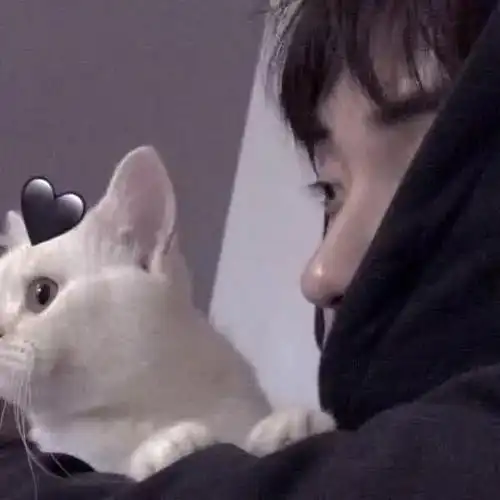 情头一男一女都抱着猫