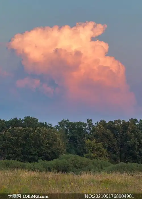天空云朵树木草丛风光摄影高清图片_大图网图片素材