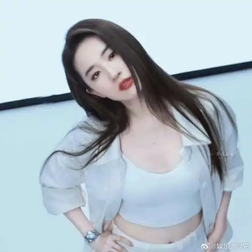 审美的尽头是刘亦菲