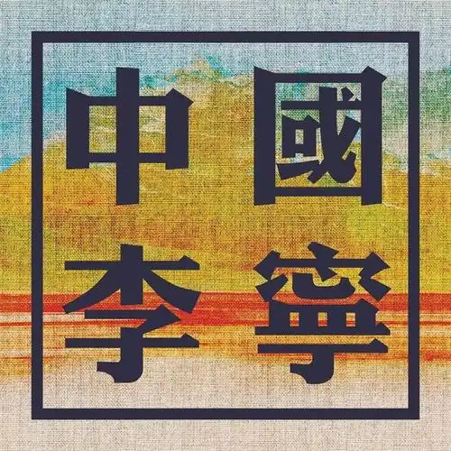 好在这次,我们也有了  中国李宁.