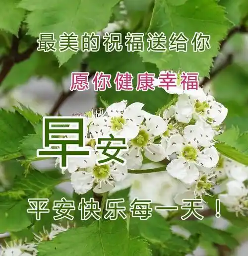 精美图片 最新早上好动态表情图片_生活_人生_牛也