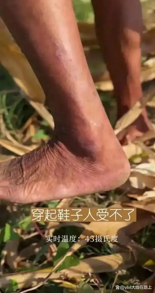 四川遂宁老人在43℃高温下赤脚收玉米,给我的回忆感想