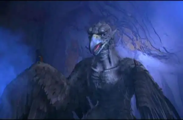 杨过的雕为什么不会飞揭晓 体型和外貌都异于常雕