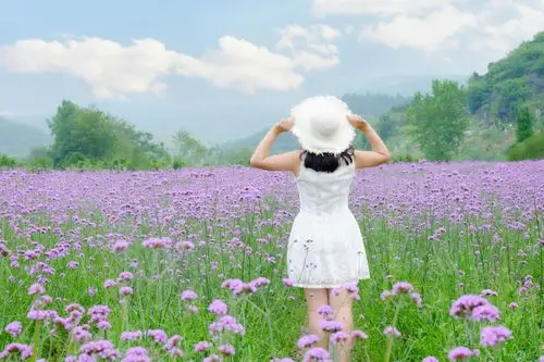 相约浪漫花海 启城定格唯美