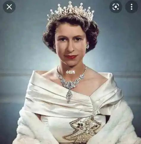 伊丽莎白三世个人资料(伊丽莎白女王和夏洛特公主)
