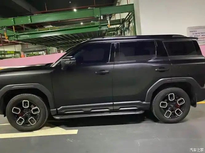 磨砂黑狗狗进化中