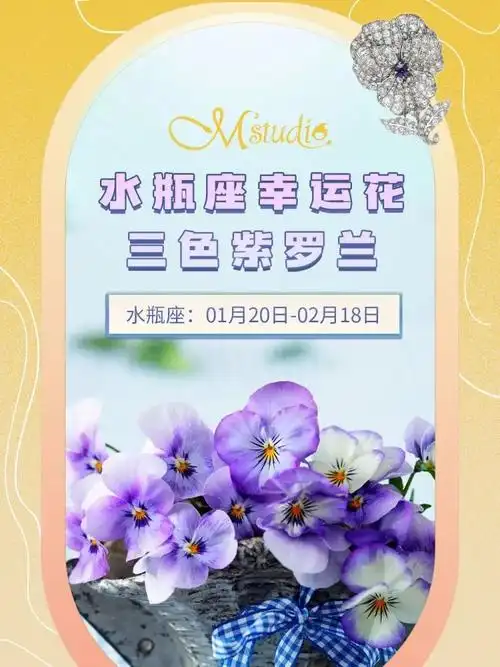 十二星座代表的花神(十二星座专属黑暗之花)