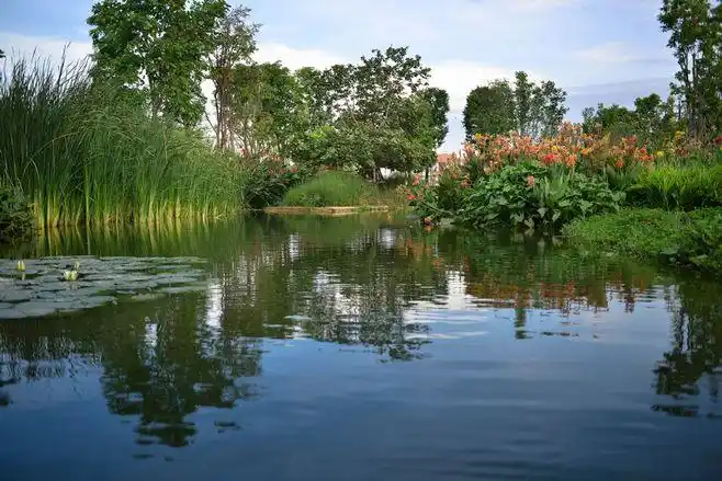 商场水处理生态池塘