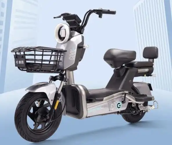 9月新品电动车上市物美价廉舒适好骑适合普通上班族代步