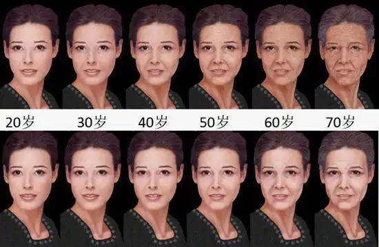 科学家发现新的抗衰老靶标基因——岁月这把"杀猪刀",对抗得了吗