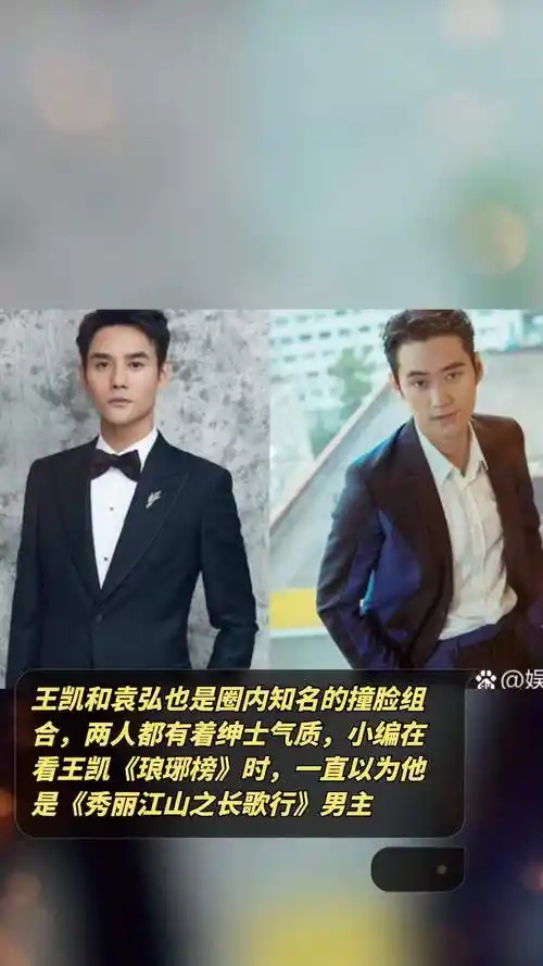 王凯和袁弘也是圈内知名的撞脸组合,两人都有着绅士气质,小编在看王凯