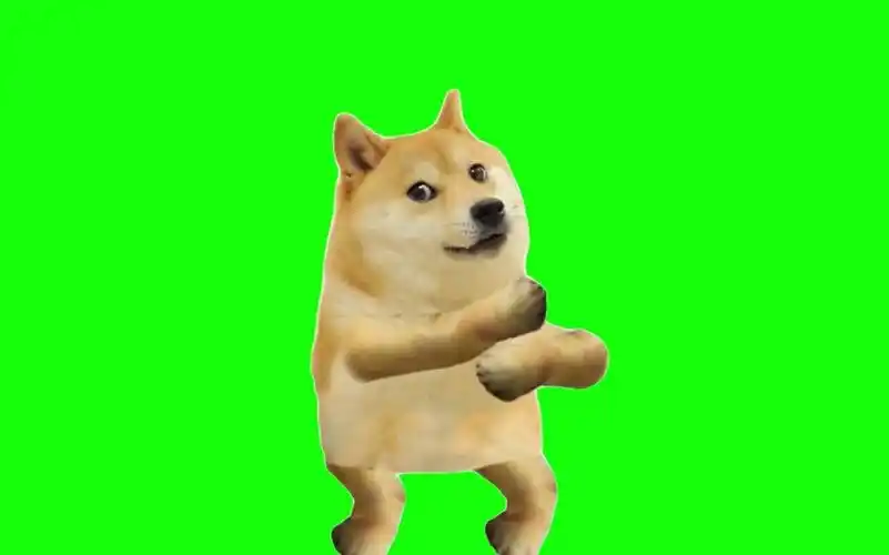 doge跳舞绿幕素材