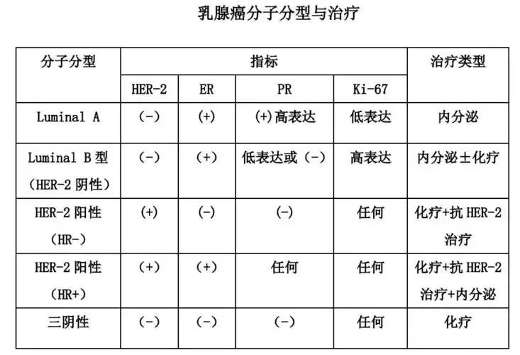 乳腺癌专家根据它们的状态将浸润性导管癌分为不同的分子分型