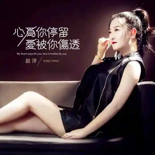 赵洋_高音质在线试听_心为你停留爱被你伤透歌词|歌曲下载_酷狗音乐