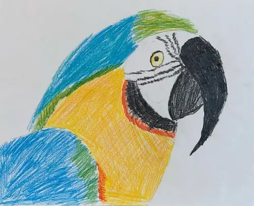 张天乐(tommy)绘画作品(三岁—14岁)