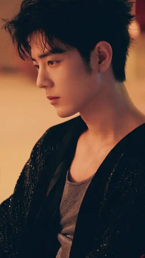 肖战藏海##肖战藏海传