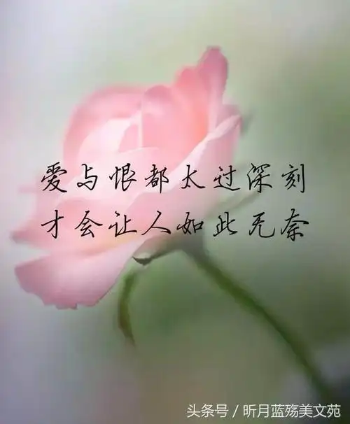 【美文欣赏】往日爱人难再见,只剩思念在心间