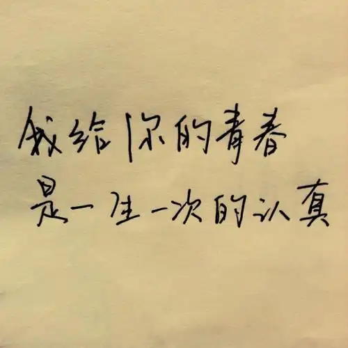 手写的从前:文字 句子——我给你的青春,是一生一次的认真 yeahli