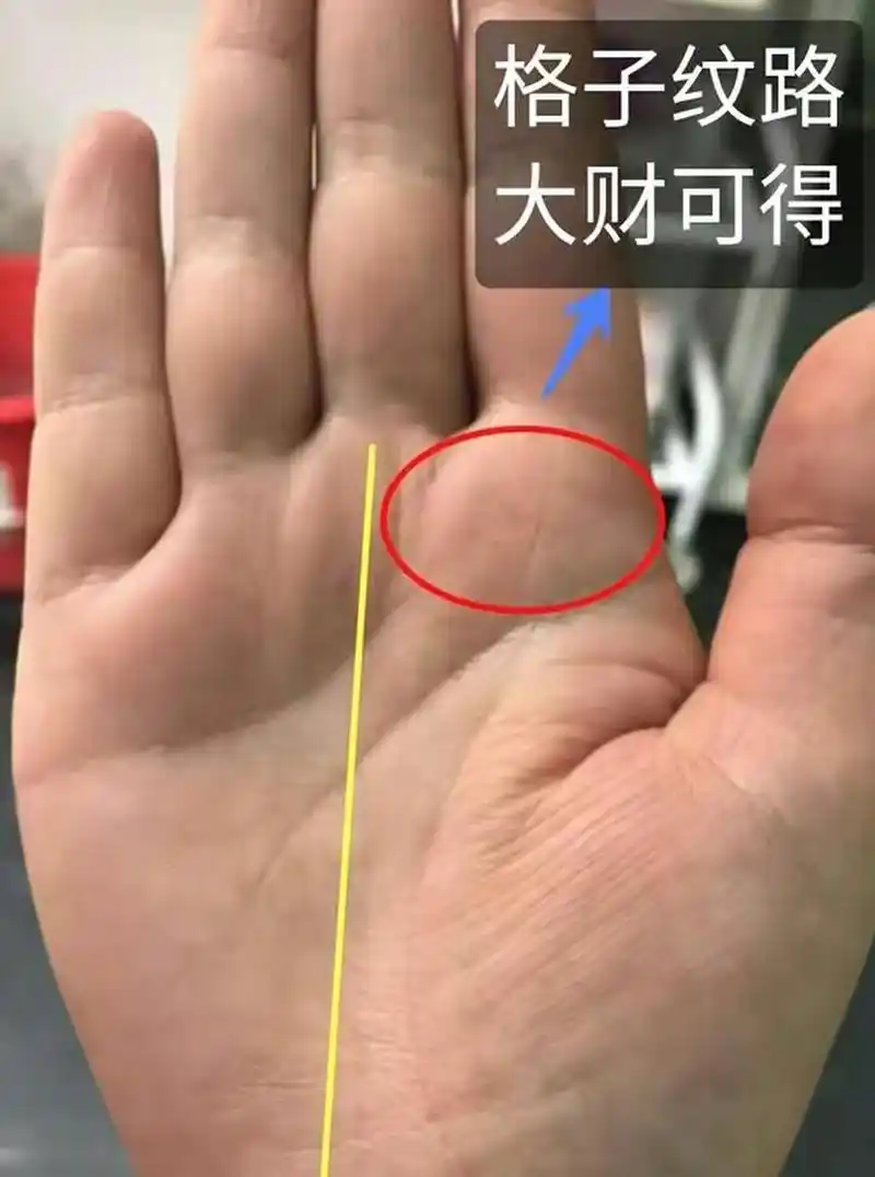 该女孩的手相在食指底部出现"井字纹"手相这个地方出现此纹路,一生的