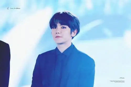 2015/12/27 sbs歌谣大祝祭 边伯贤 高清壁纸 转自微博