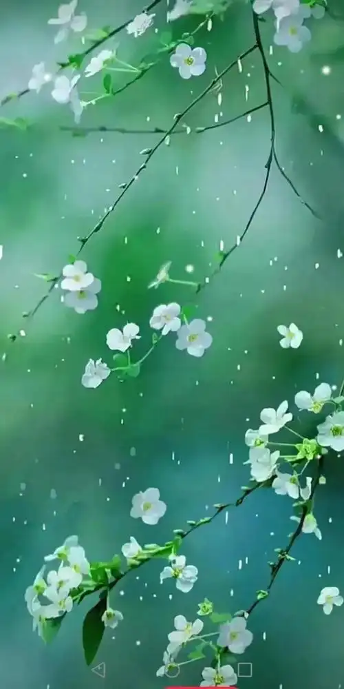 绿色背景图,绿色背景图卡通(护眼壁纸:绿色清新背景图)