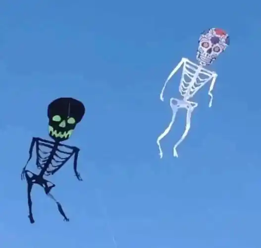 这些奇葩风筝,你见过吗?开眼啦_天空_太太_造型