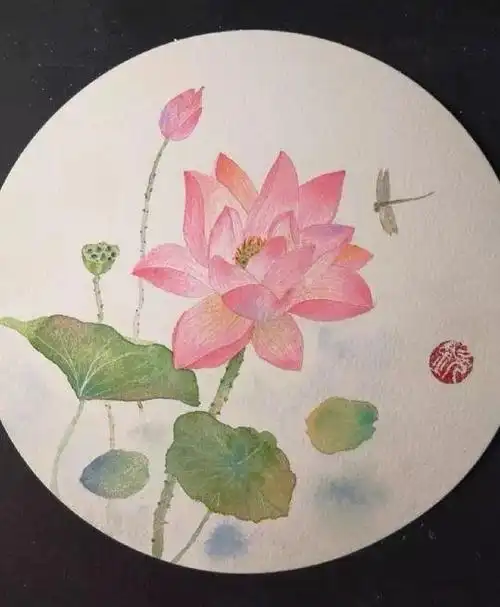 教你7步骤就能出来一朵美丽的荷花,快来临摹学习_素描入门_零二七艺考