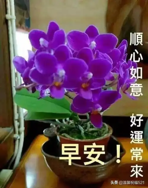 2,最新版早上好2022表情图片漂亮好看 早上好暖心问候祝福语阳光图片