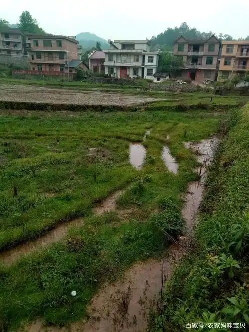 疫情之下,农村生活的真实写照,其实我还是挺喜欢农村的