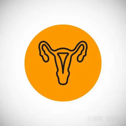 矢量图的医学妇科图标